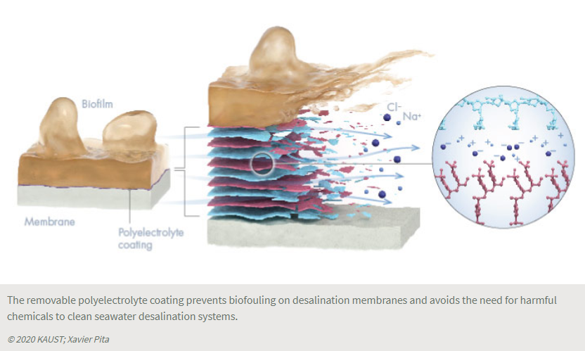 2020-Discovery-polyelectrolyte-coating-Vrouwenvelder