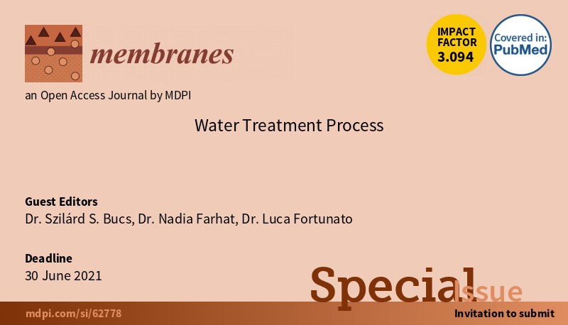 Guest editors-water_treatment_process_horizontal_light