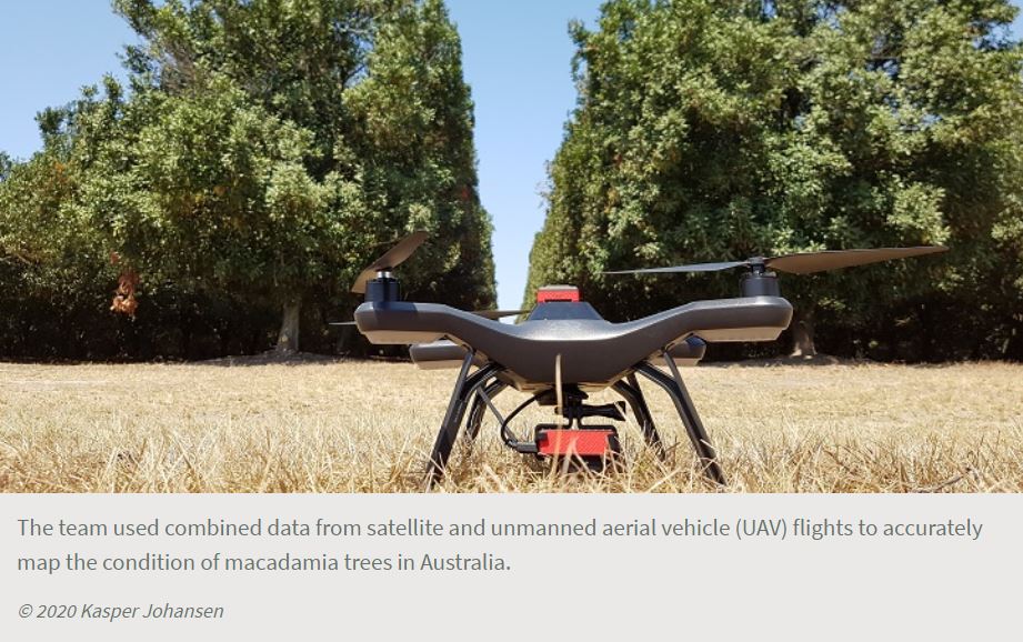 2020-Pub-Macadamia-monitoring-UAV